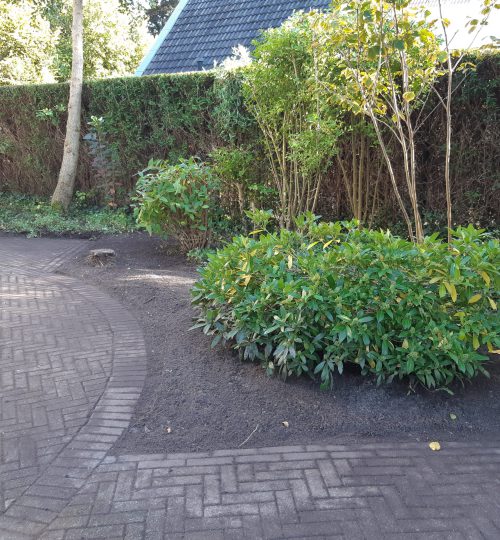 Tuinonderhoud-1